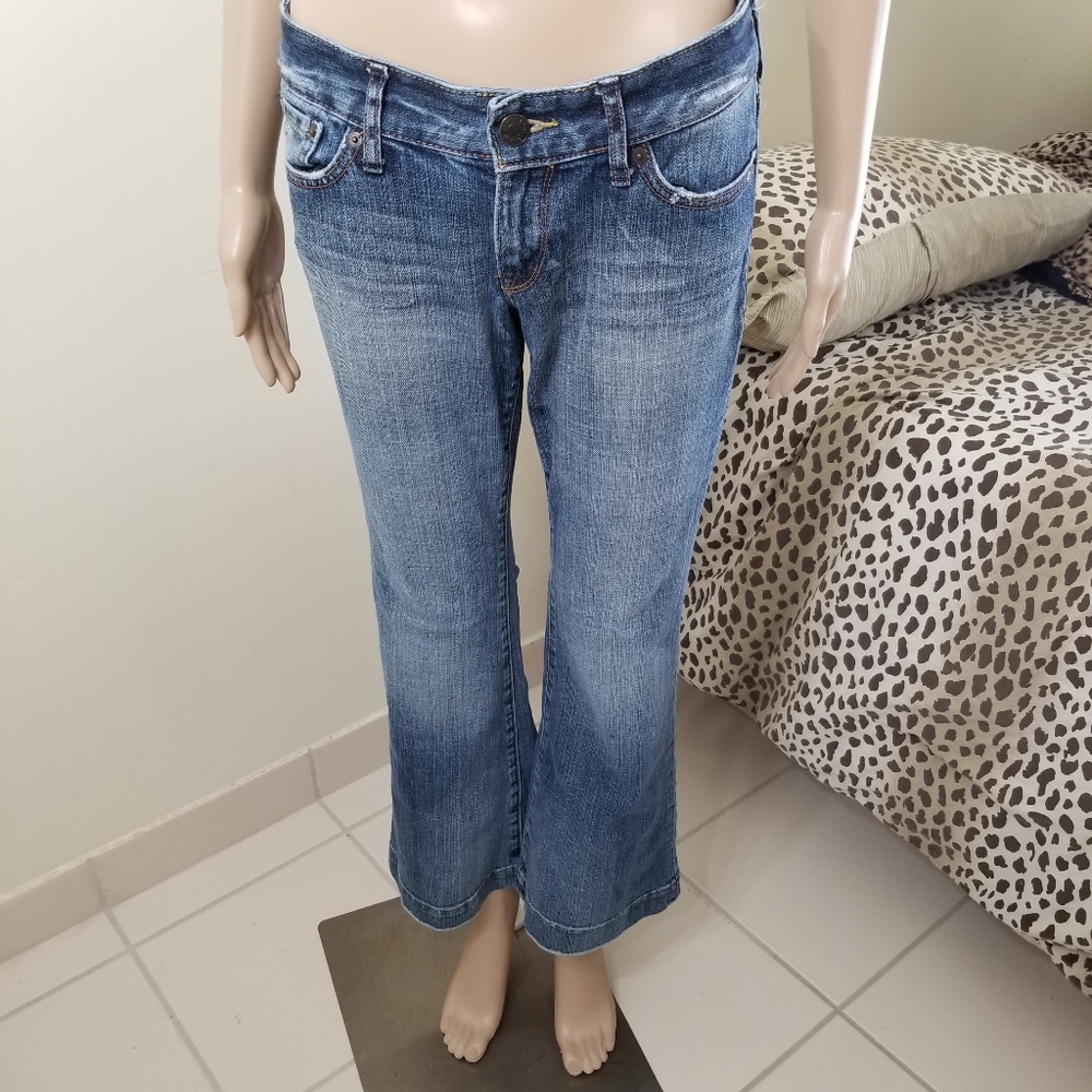 _EUC Express Jeans Distressed Look